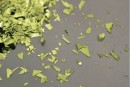 Блеск салатовый Рваный 027 добавка к жидким обоям Макс-Колор. Купить глиттеры (блестки) для декорирования интерьера. Отличное качество. Всё в наличии. Быстрая доставка по Украине. Доступные цены.