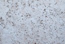 Жидкие обои Юрски серия Тюльпан 1126 бежевые - Купить жидкие обои Тюльпан - Цена жидкие обои Тюльпан недорого на БудБум